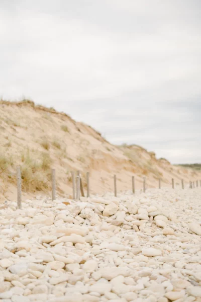 Chemin de galets blancs menant vers des dunes de sable bordées d'herbes sauvages sous un ciel voilé
